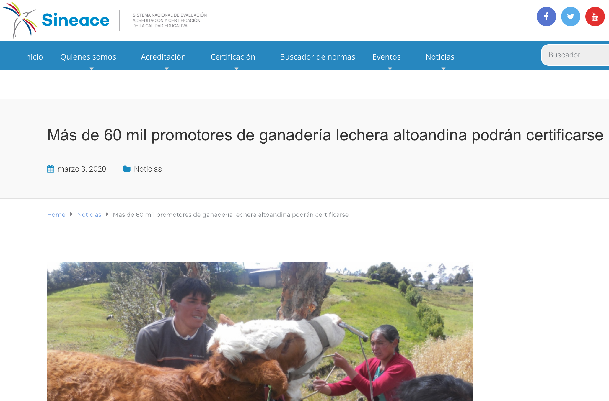 Más de 60 mil promotores de ganadería lechera altoandina podrán certificarse