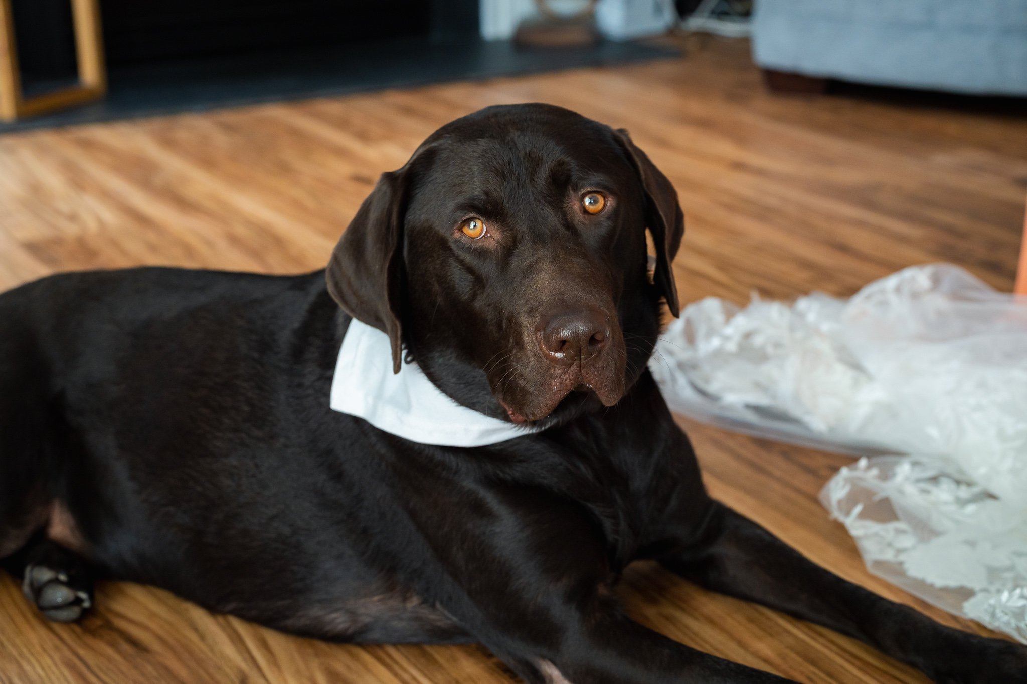 Brigalias Wedding_8-28-26_LR-137.jpg