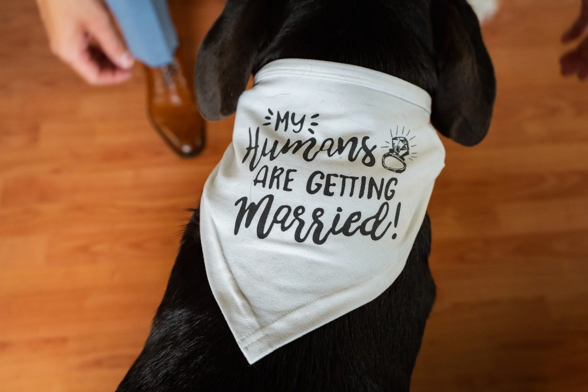 Brigalias Wedding_8-28-26_LR-353.jpg