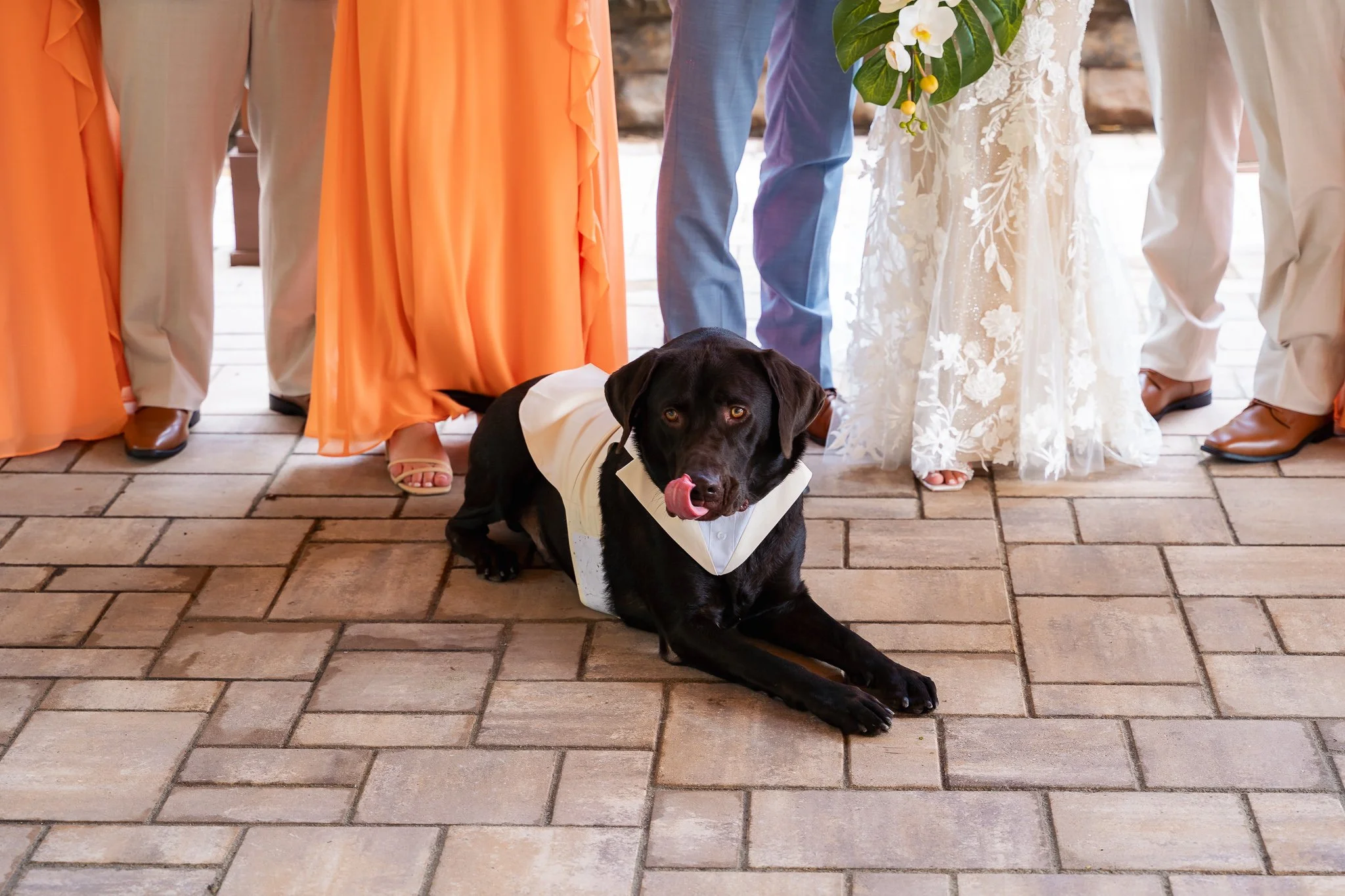 Brigalias Wedding_8-28-26_LR-589.jpg