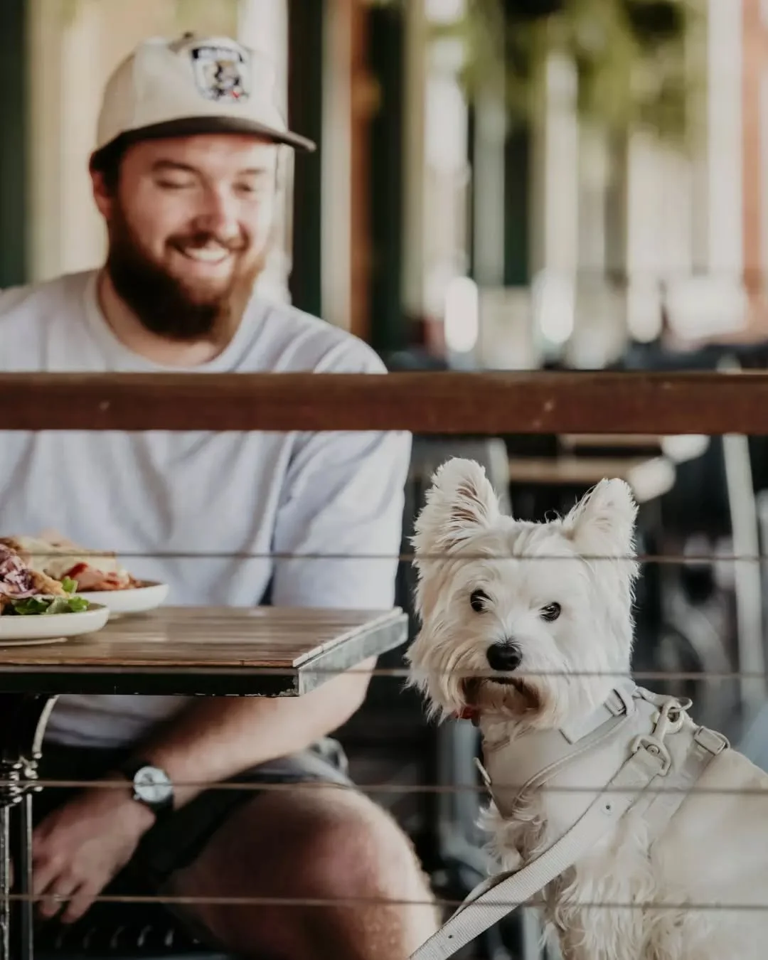 Only the best seat in the house for our four-legged mates 🐾

Dogs are always welcome out on the Paddy&rsquo;s balcony!