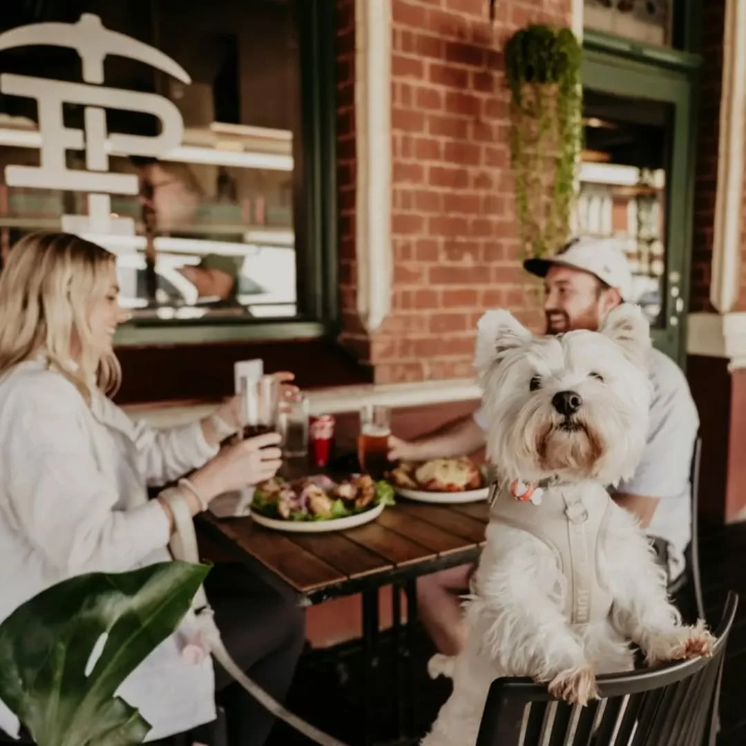 Lunch with the best crew, sunshine on the balcony, and cold drinks flowing, that&rsquo;s a Paddy&rsquo;s kind of afternoon 🍻

Round up your mates and book your balcony table this week by heading to the link in our bio!