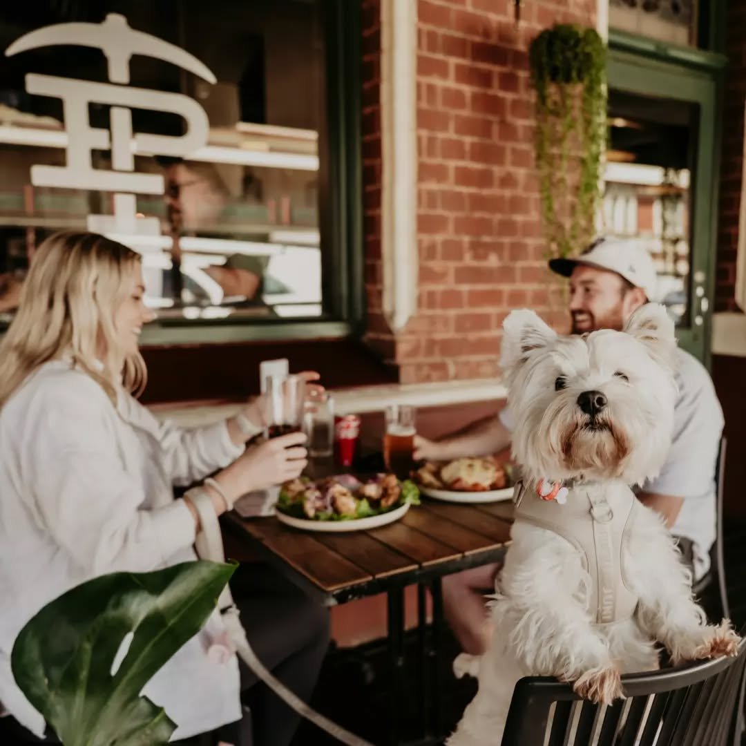 Cosy up with your favourite people (and pups 🐾) this winter on the Paddy&rsquo;s alfresco!

For bookings head to the link in our bio.