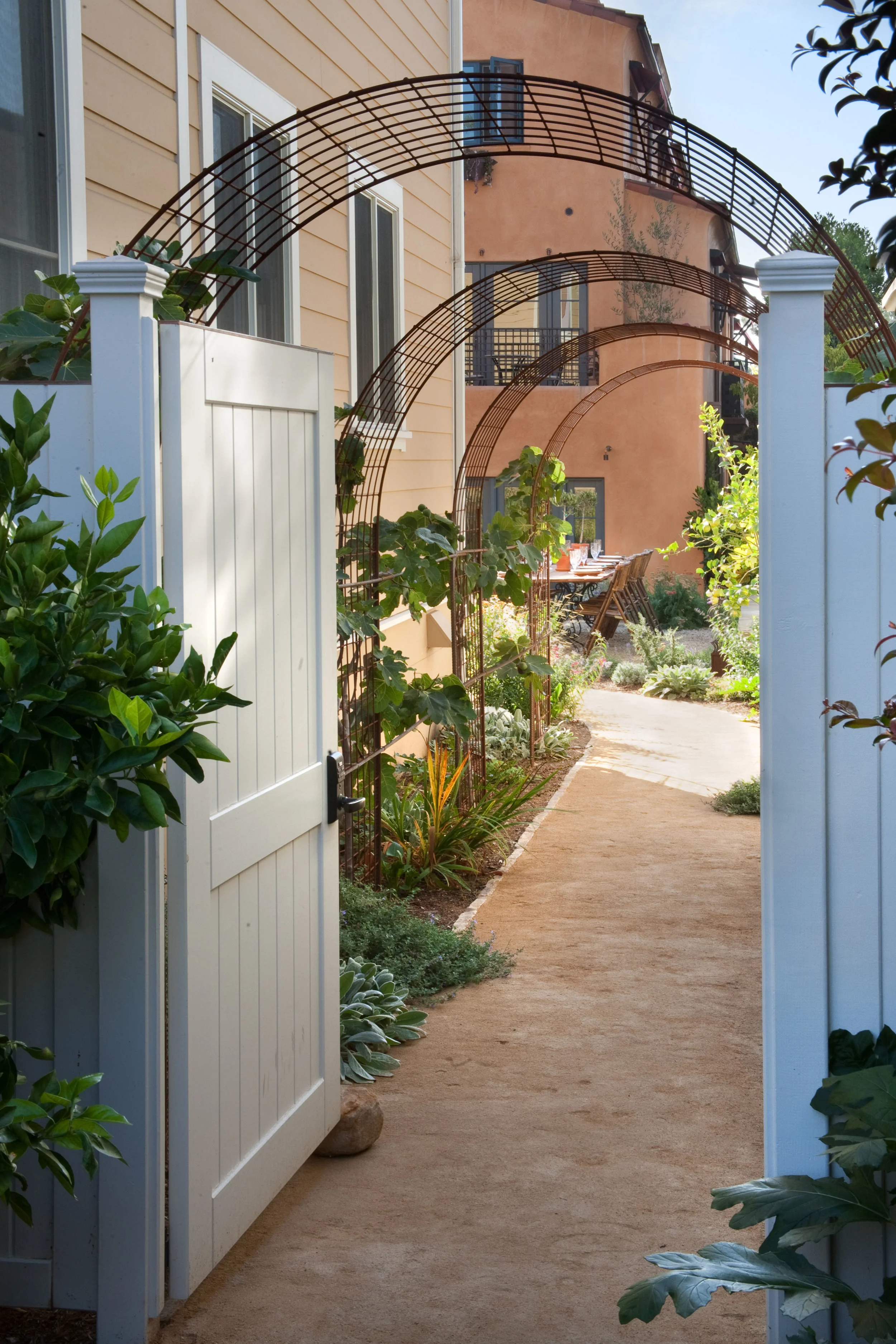 Sustainable Landscape.jpg