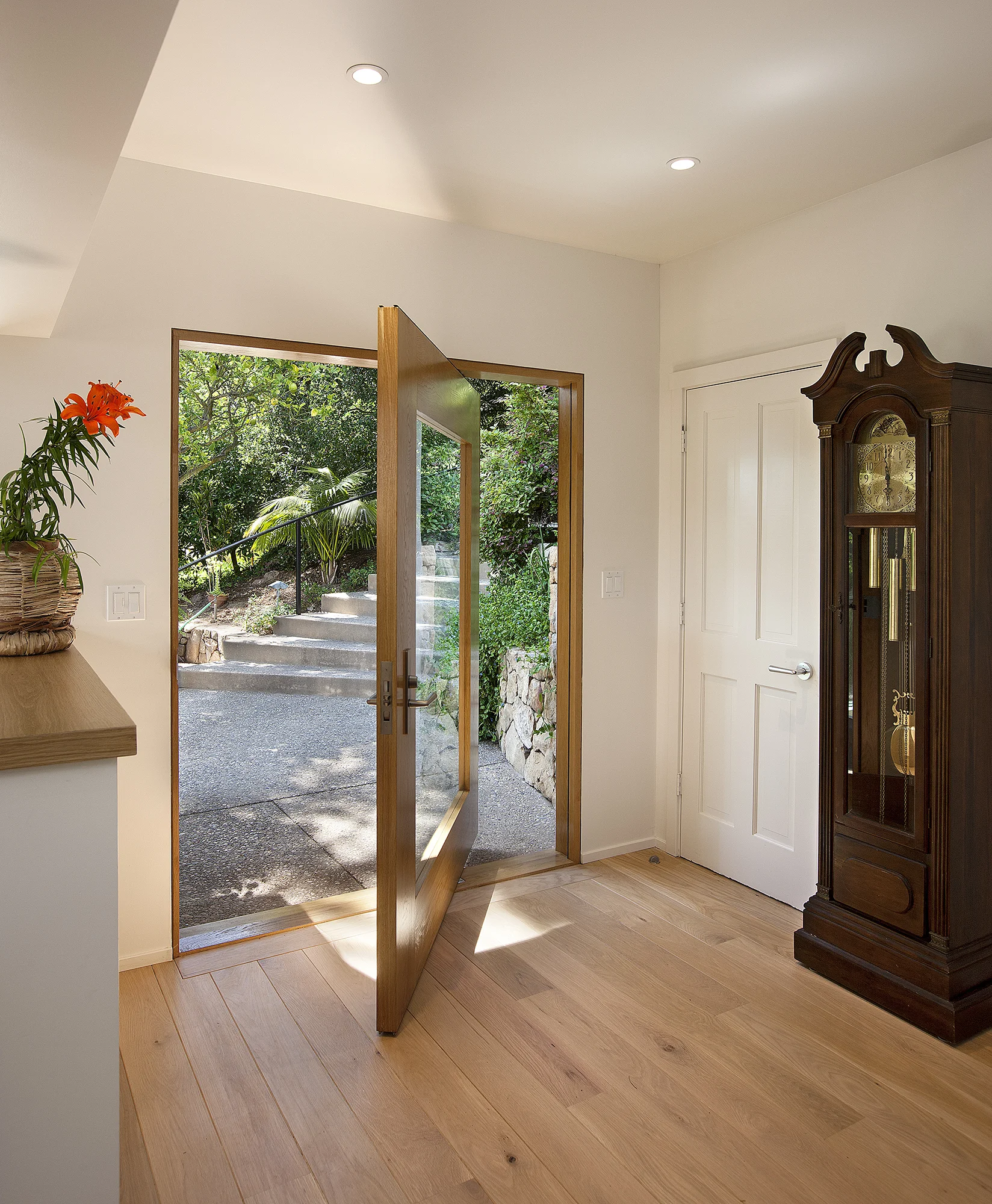 Pivot Door_web.jpg
