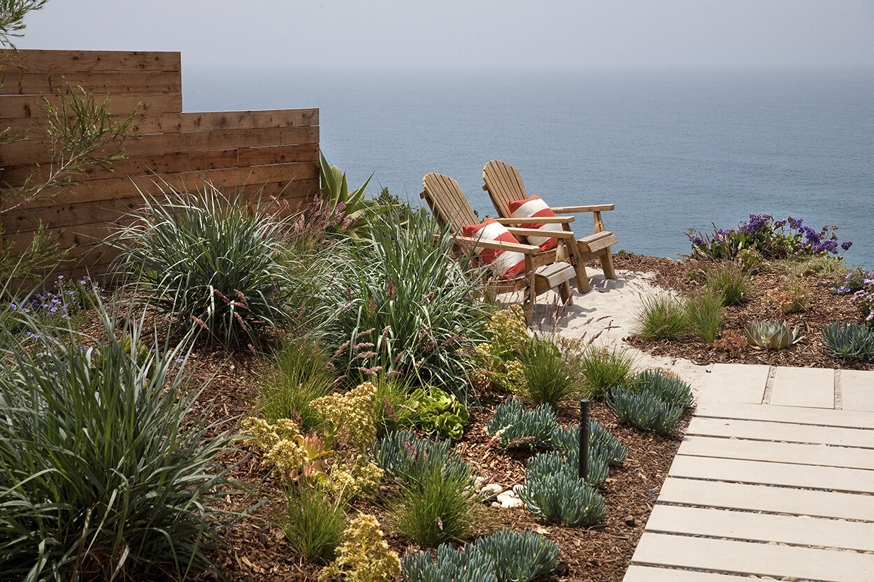 Viewing Deck.jpg