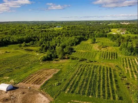 Nature Knows Best - Carbon Farming