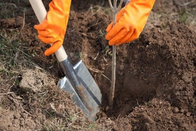 Large-Scale Carbon Sequestration Is Imperative