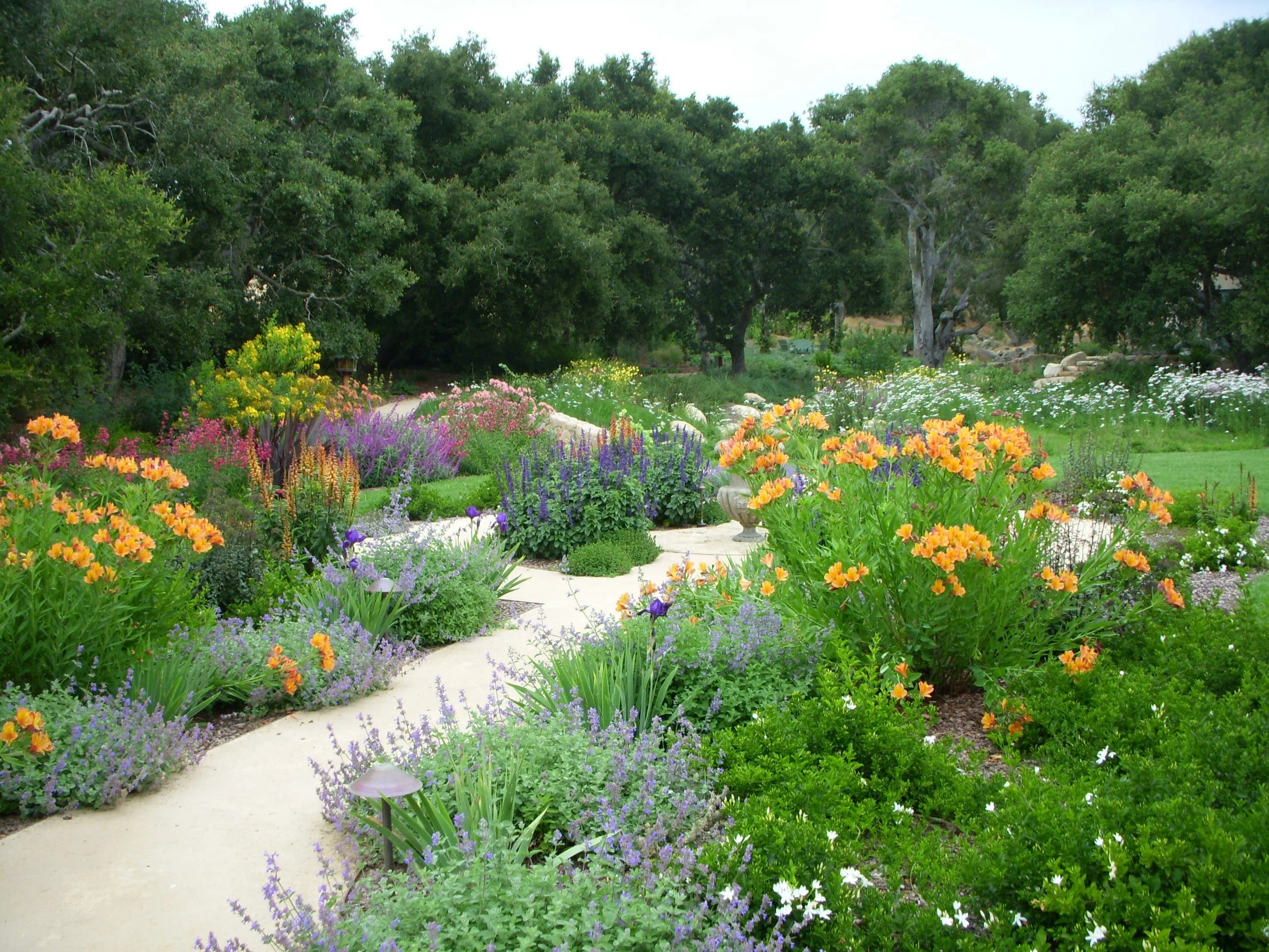 The History of Earth Day