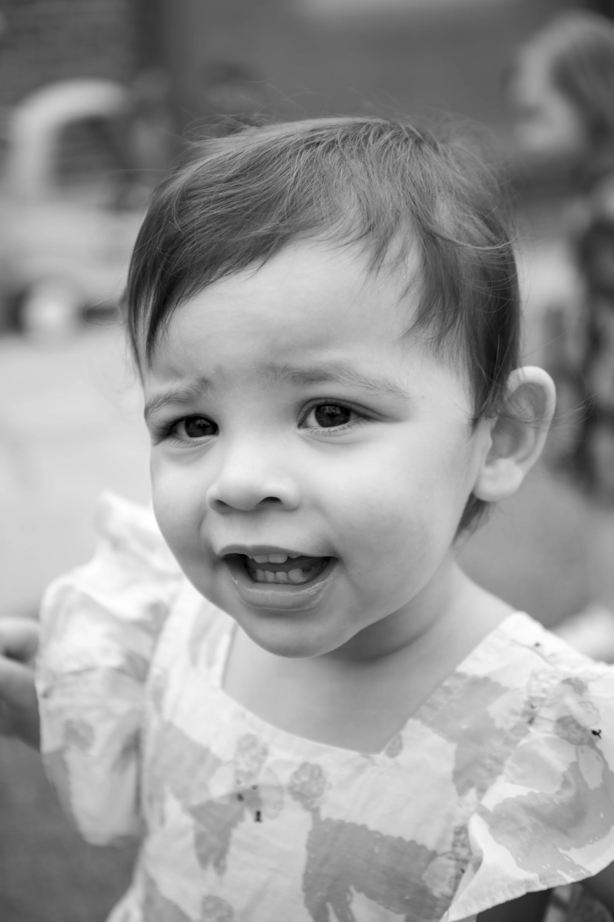 EW143 ThF Bears - McGlasson, Violet.jpg