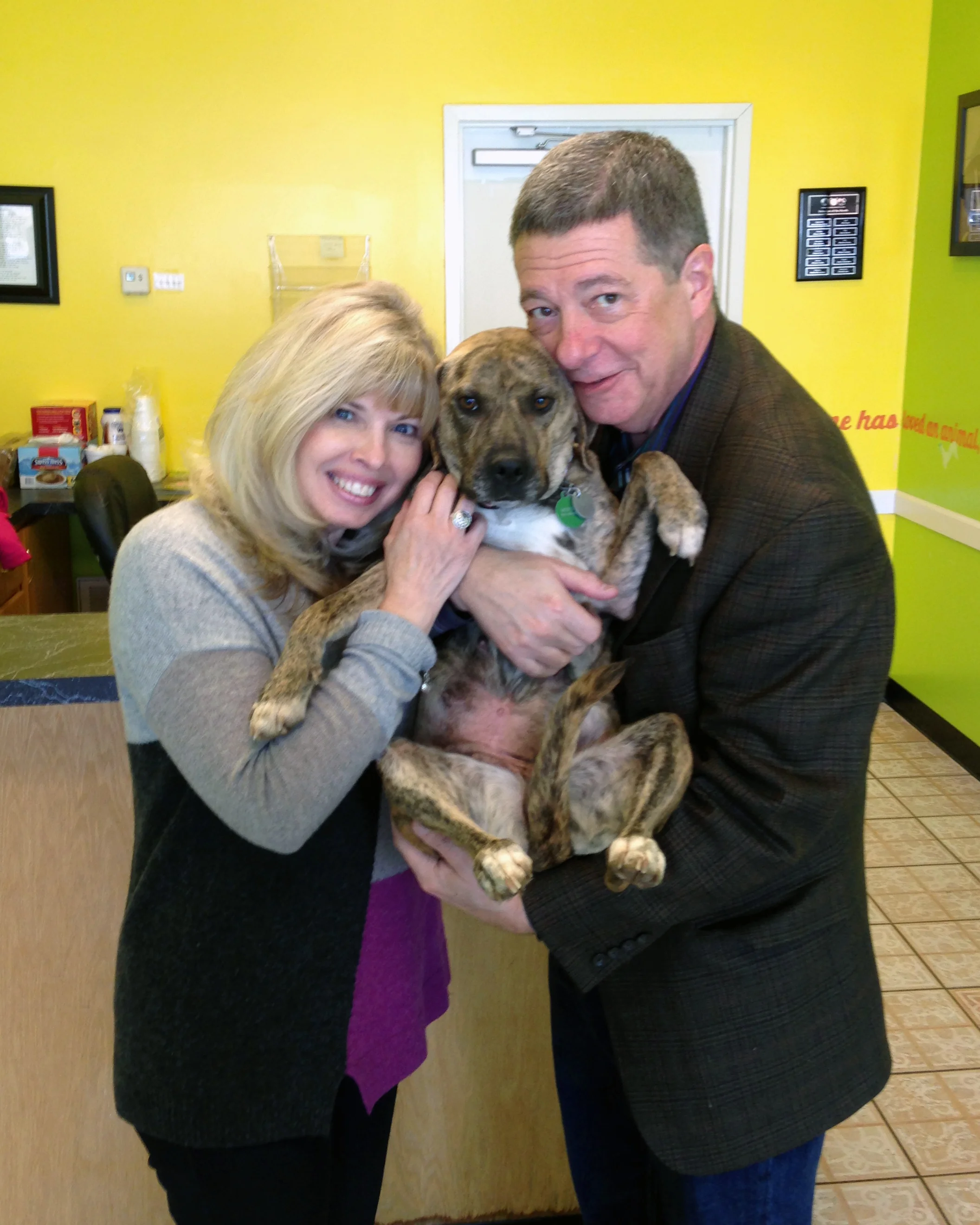 strudel gets a forever home.jpg