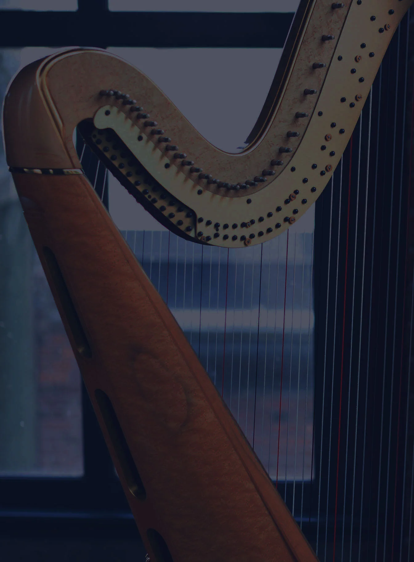 HarpCut_blue.jpg