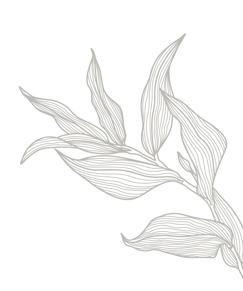 Line art drawing of abstract leaves with fine white lines on a black background.