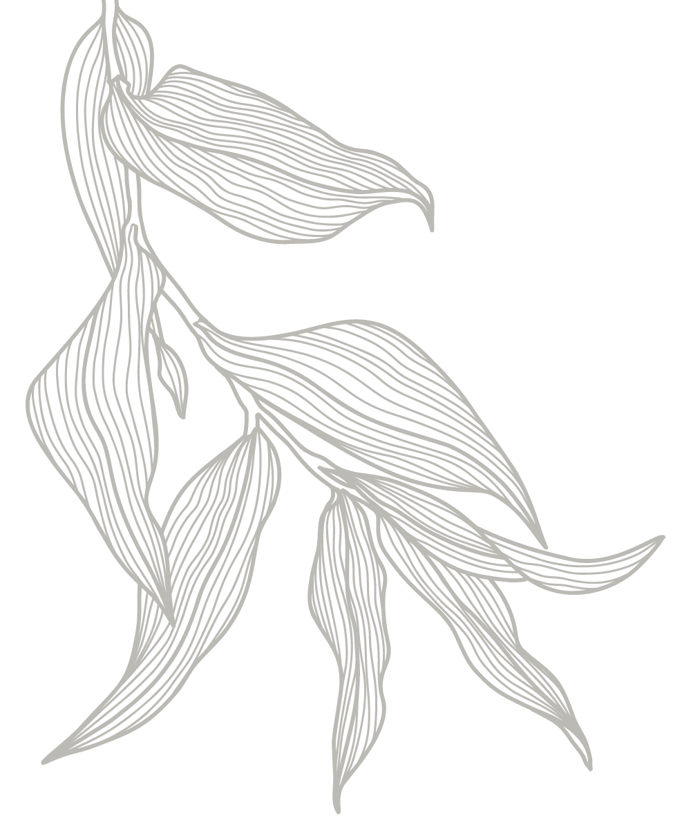 Line art drawing of abstract leaves with fine white lines on a black background.