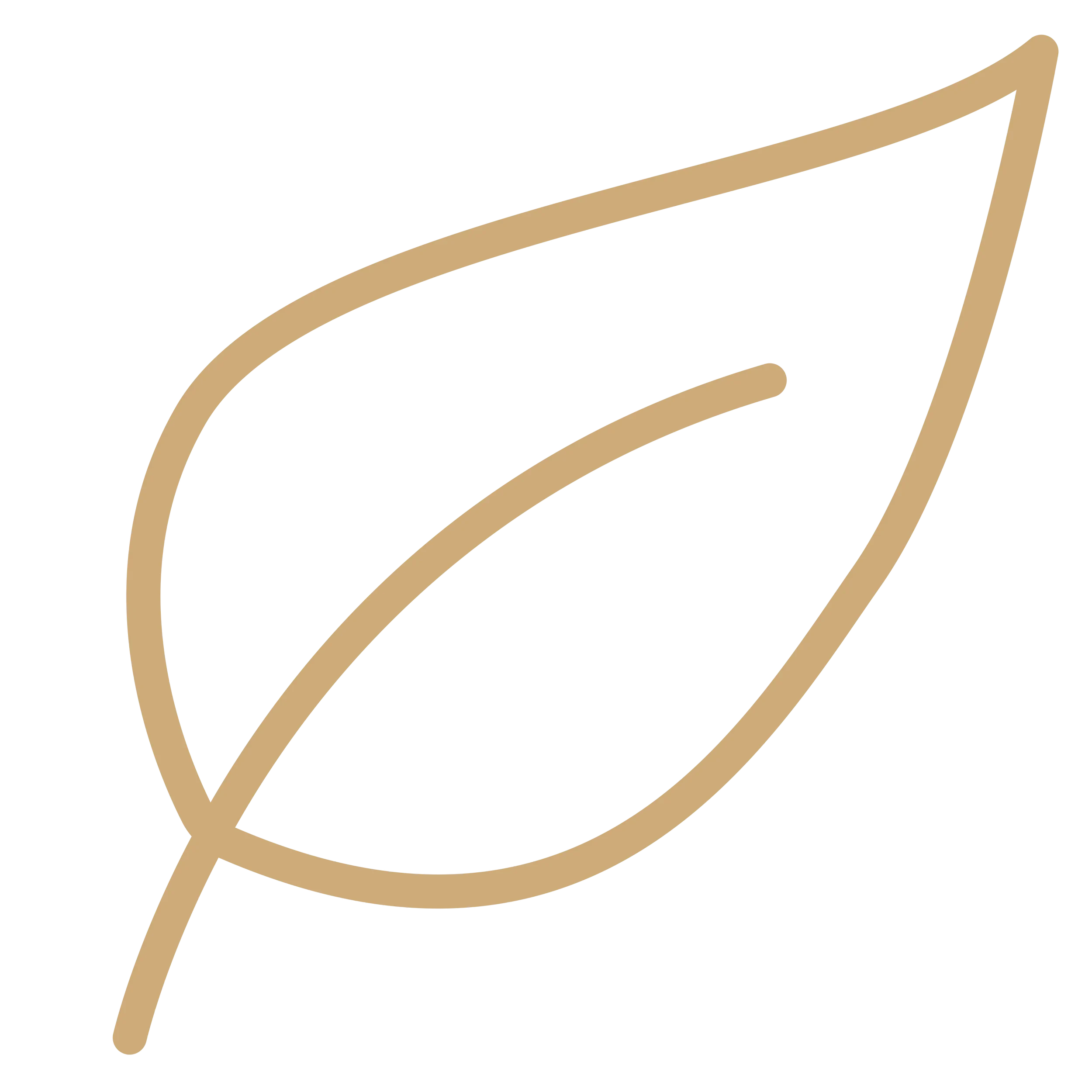 Simple, brown line drawing of a single leaf with a central vein on a white background.