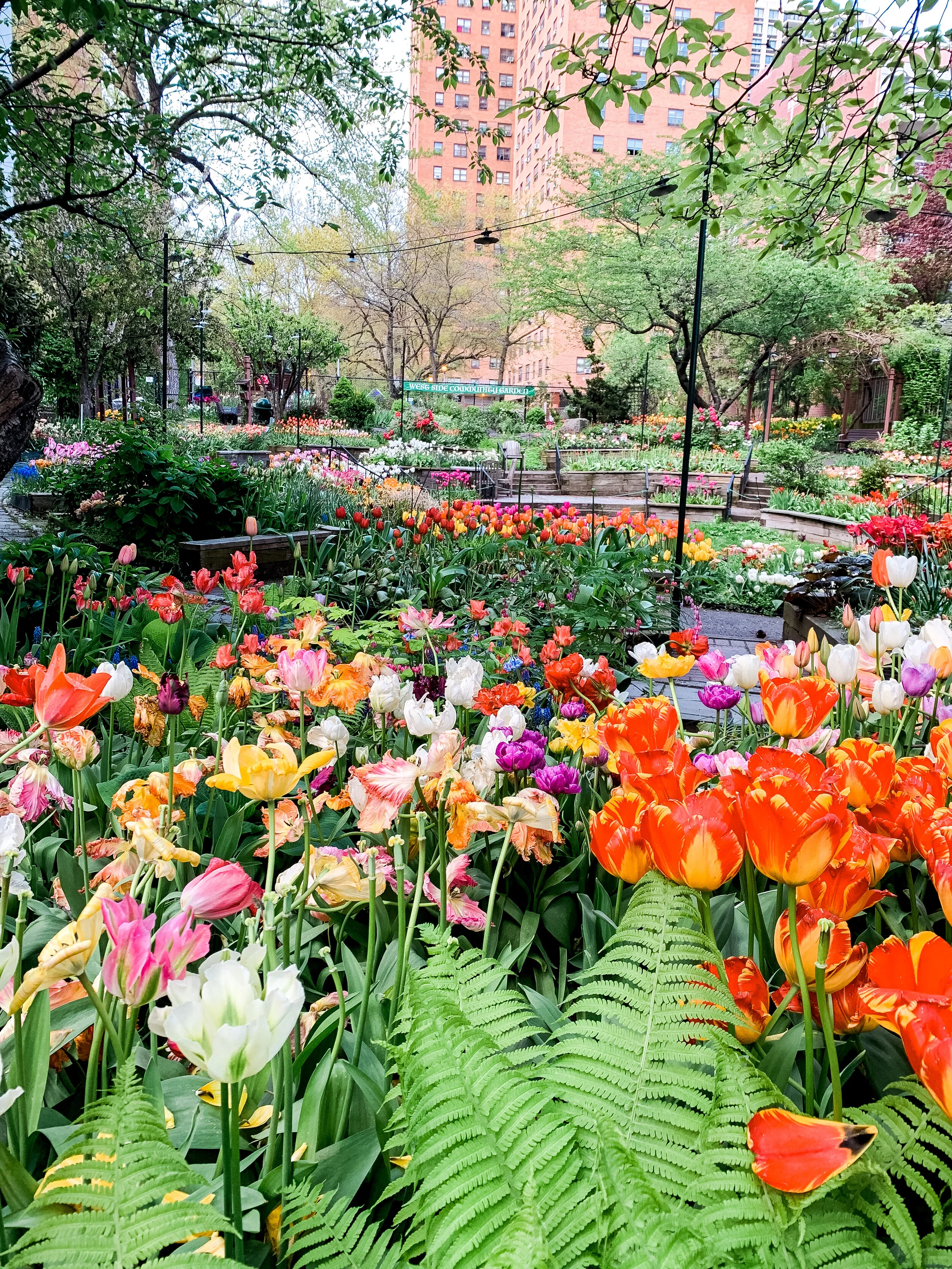 Spring in NYC
