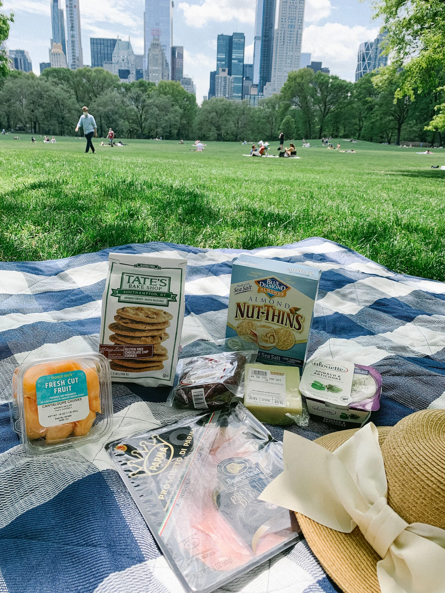 Picnic in Central Park
