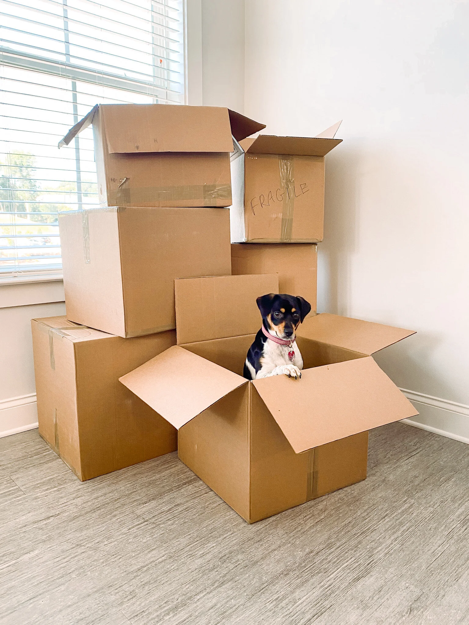 3 Things to Consider When Planning to Move Across the Country