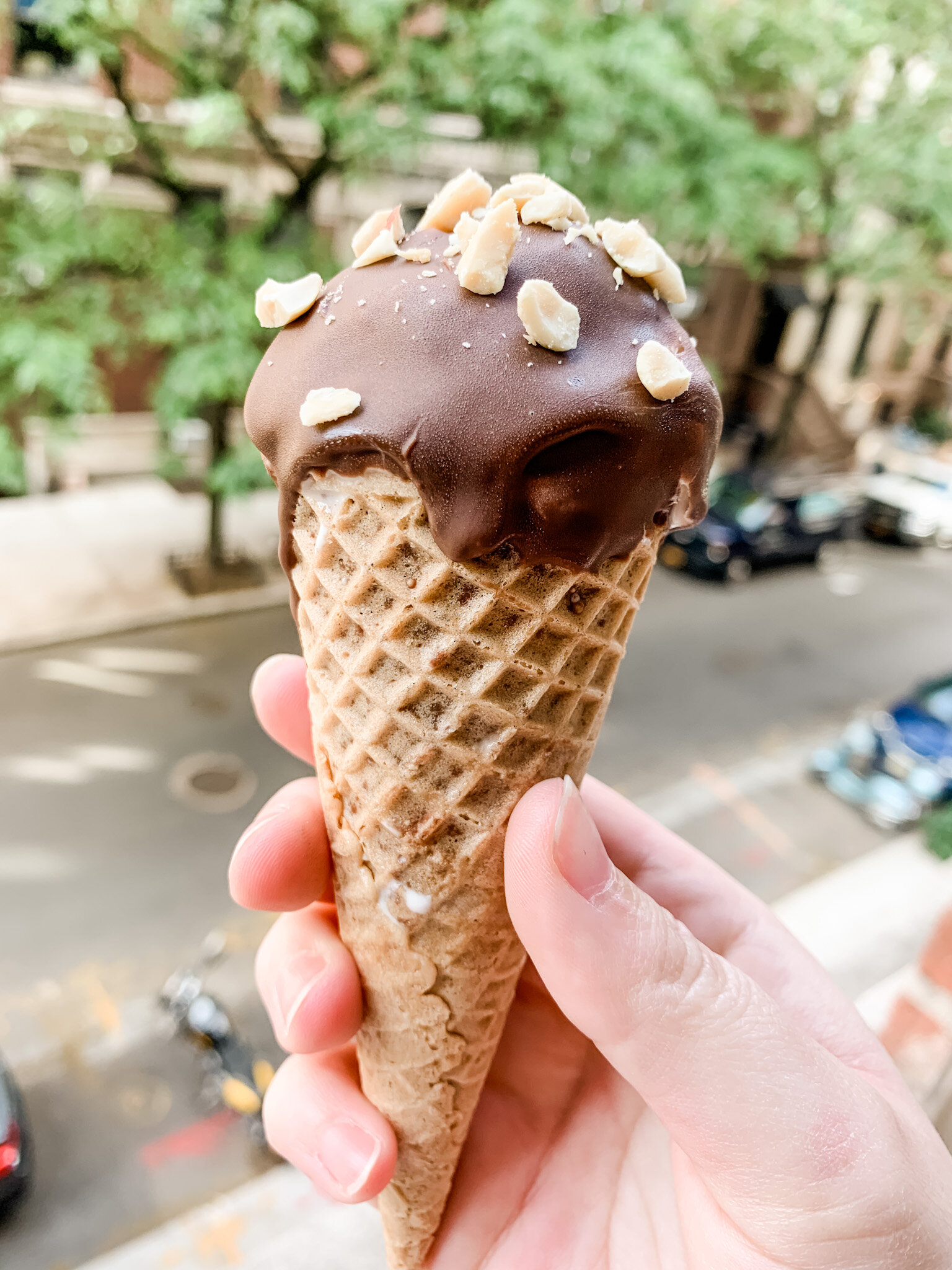 Summer Treat Roundup