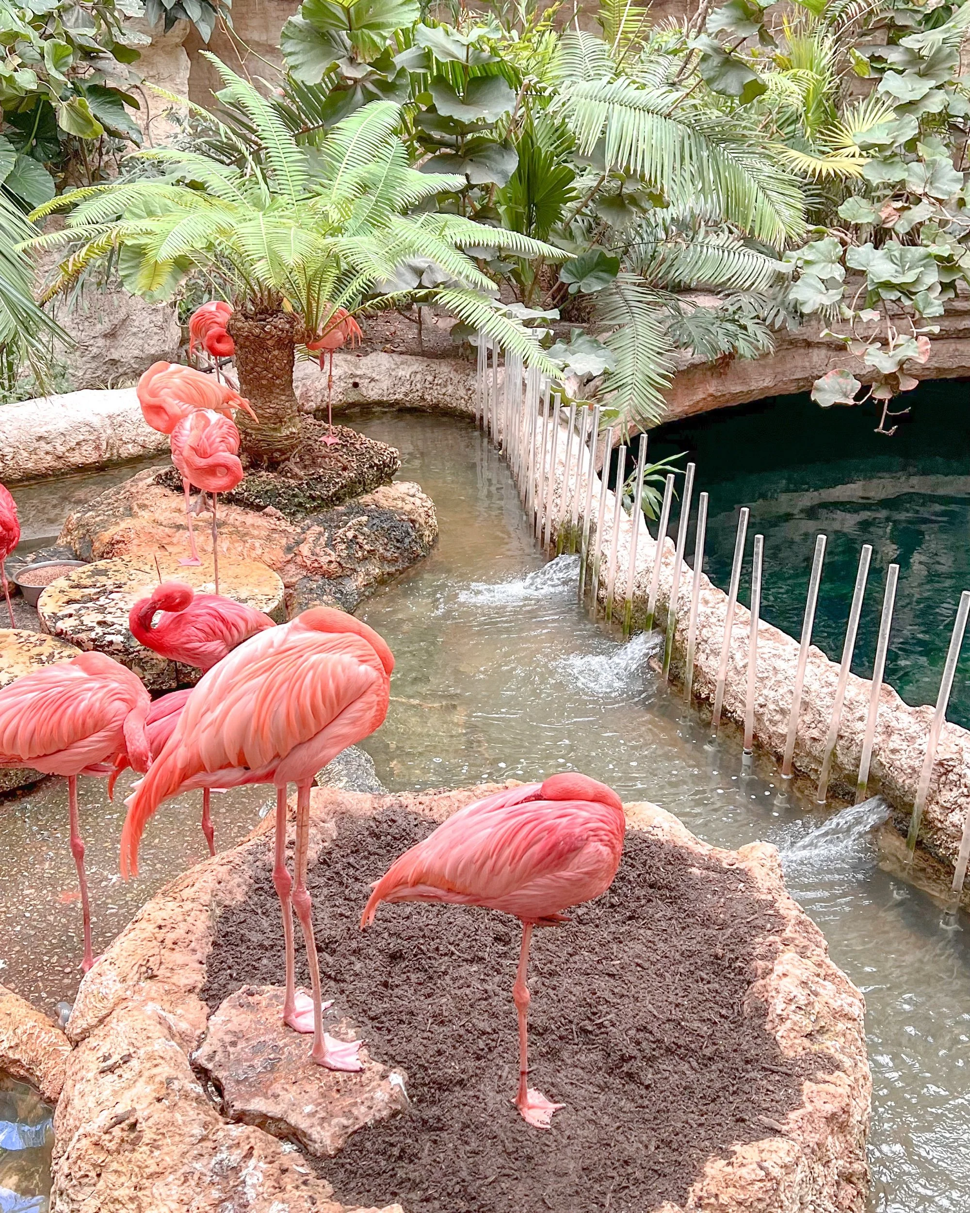 Social Media Detox Update: Over Half Way!