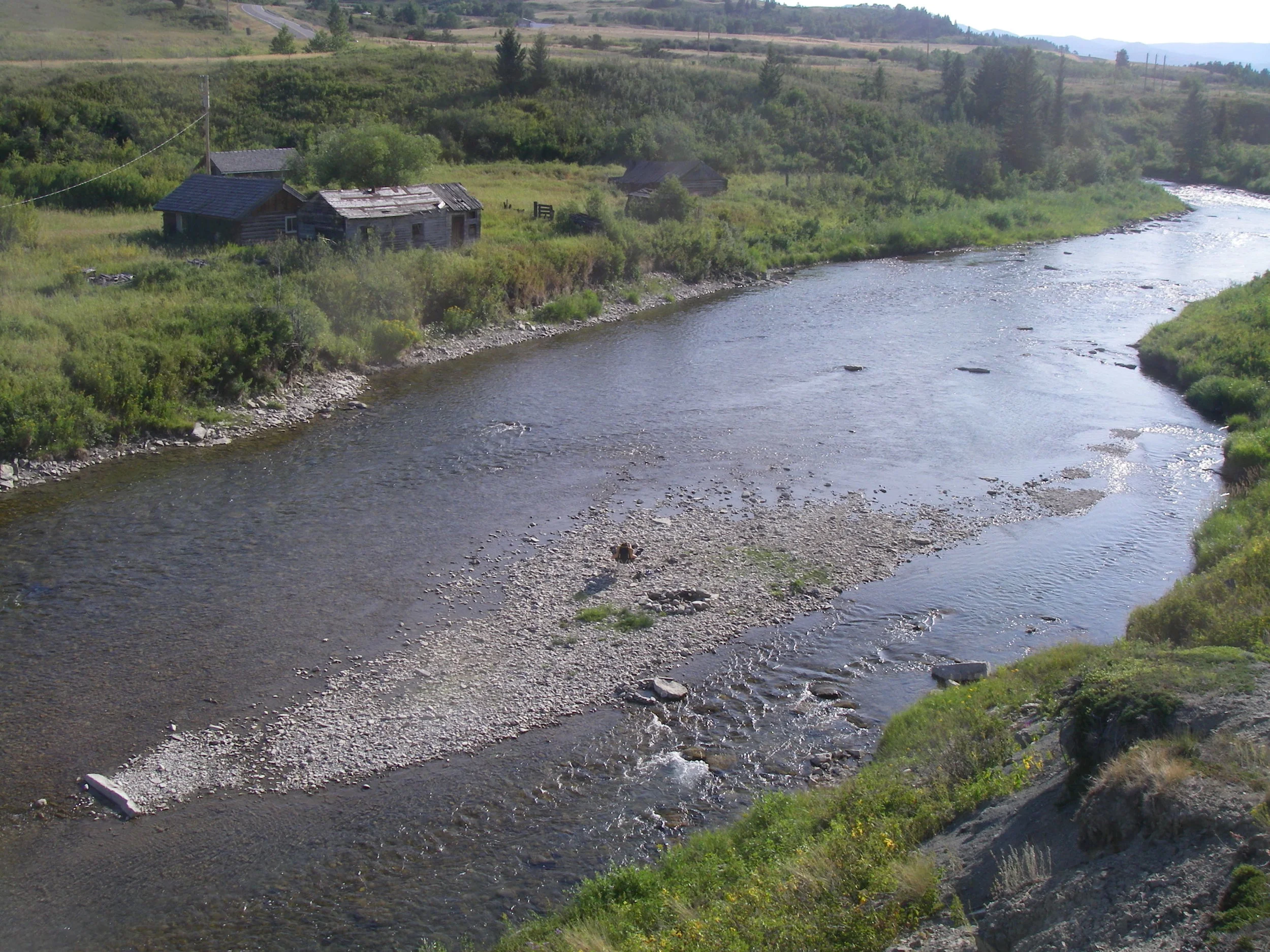 IMGP0181.JPG