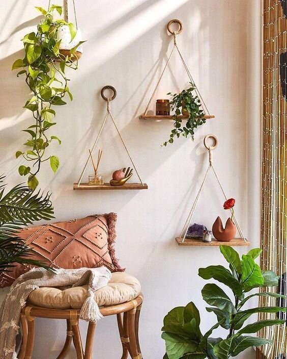 indoor plants wall.jpg