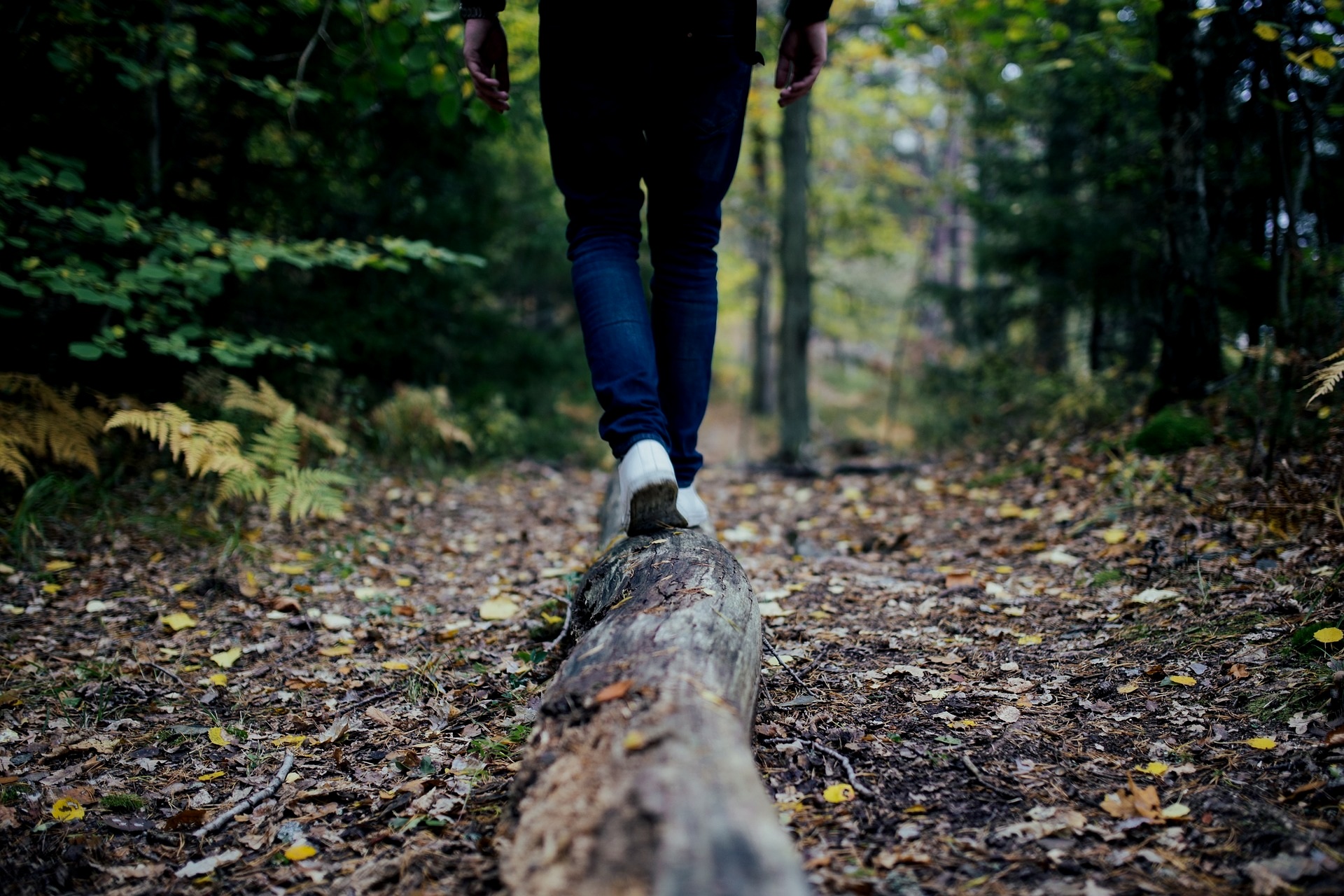 wood-691629_1920.jpg