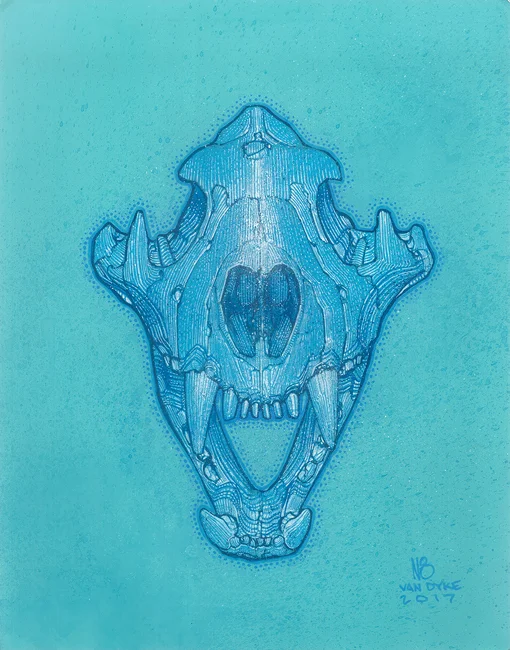  Nate Van Dyke  Tiger Skull , 2017 Ink, acrylic spray paint 11"x14"   Courtesy of Artist Framing courtesy of Chandler Fine Arts  