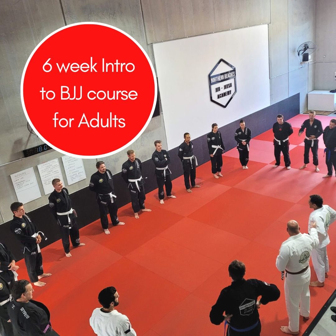 Jiu-Jitsu for Beginners - 6 week Adults Intro Course