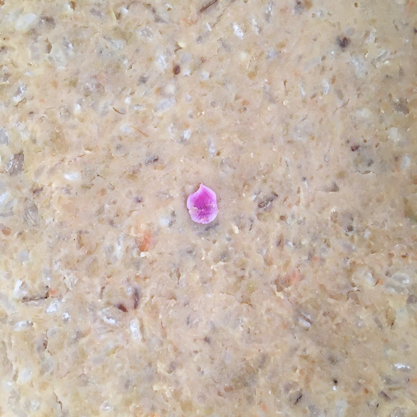 Making miso: although I&rsquo;ve been eating this Japanese food staple pretty much all my life and appreciating its health benefits and deep rich taste, I have never actually made it myself. It&rsquo;s one of these things that seem slightly mysteriou