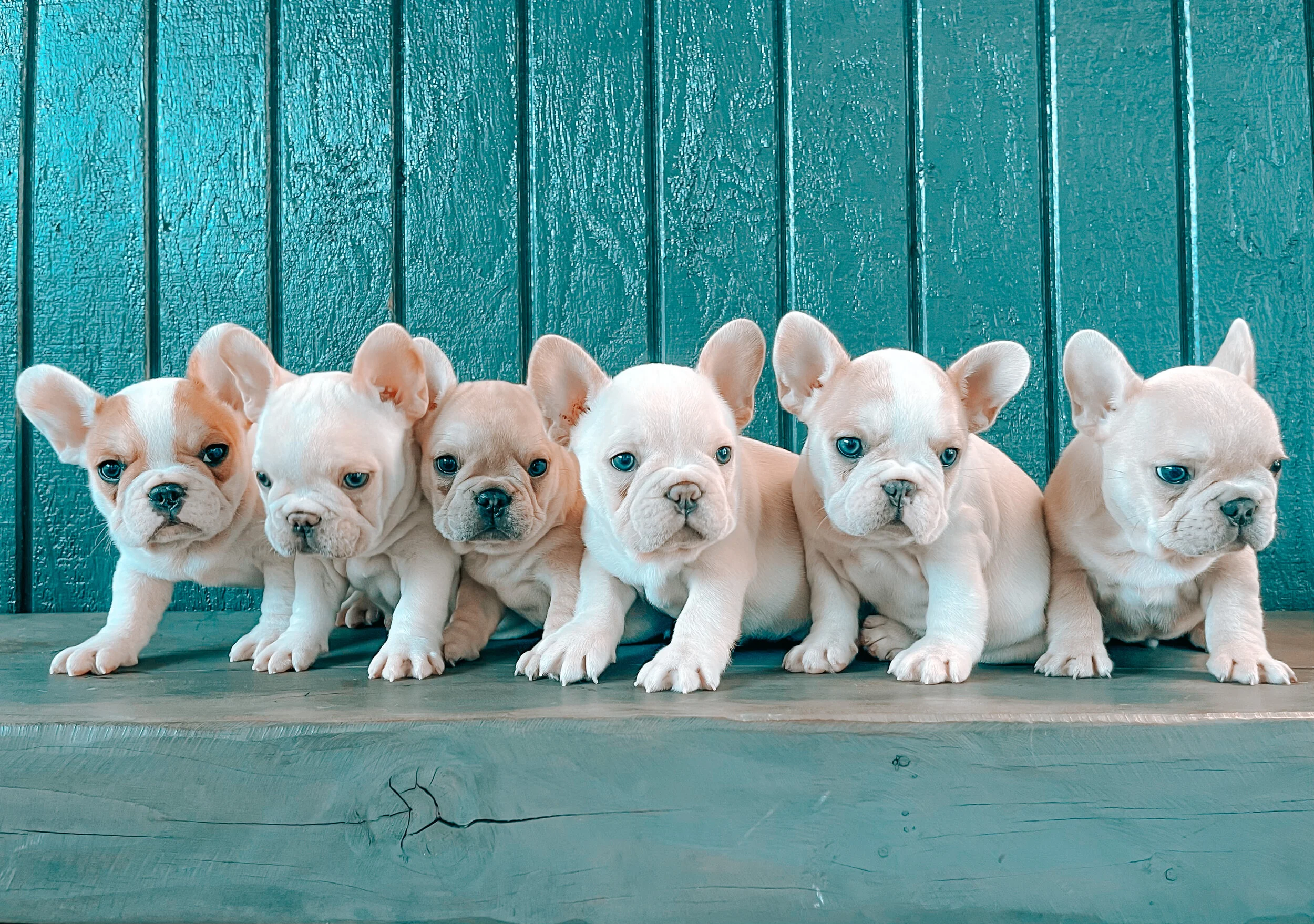 NEW ARRIVALS: YUKI x MAUI