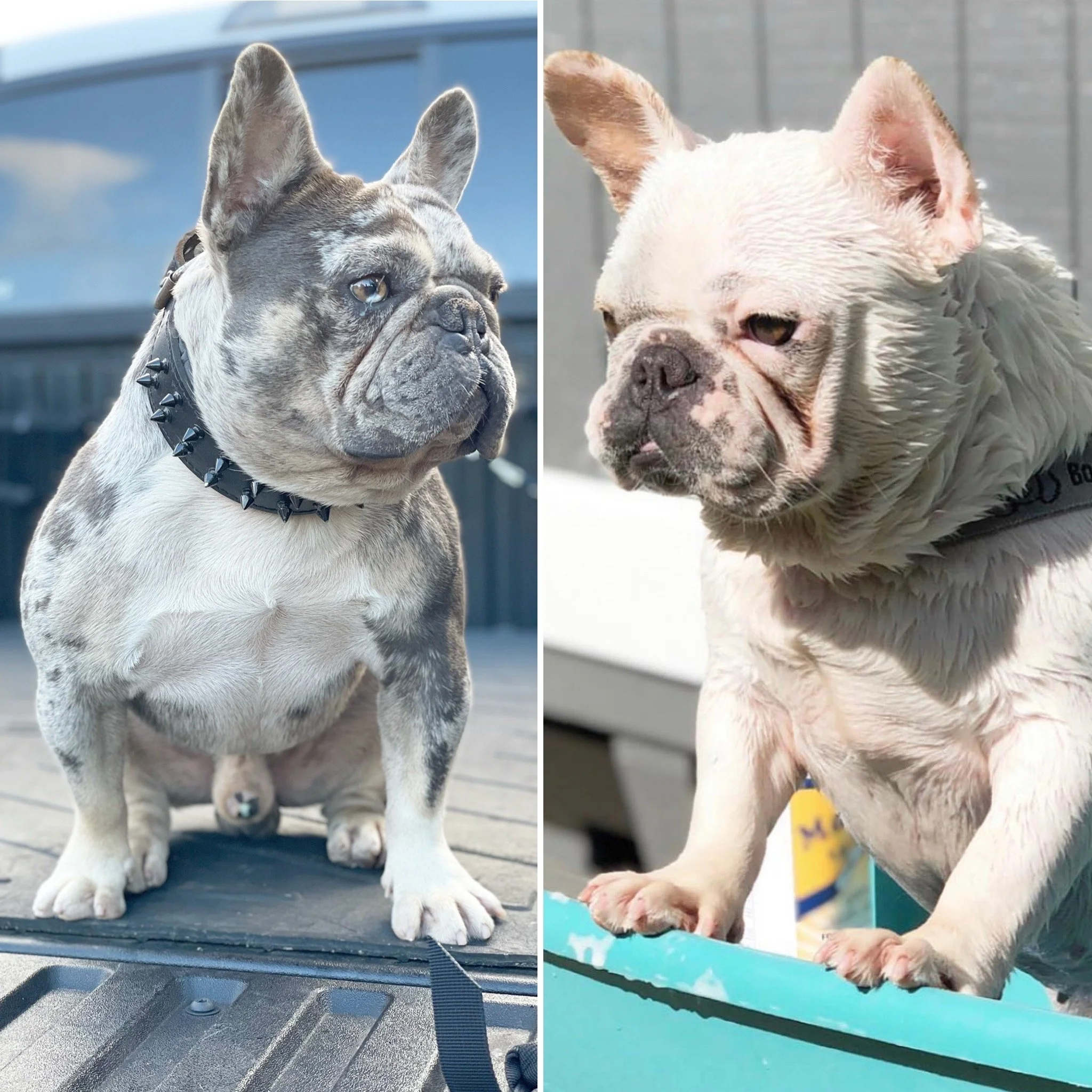 CONFRIMED: YUKI X PABLO