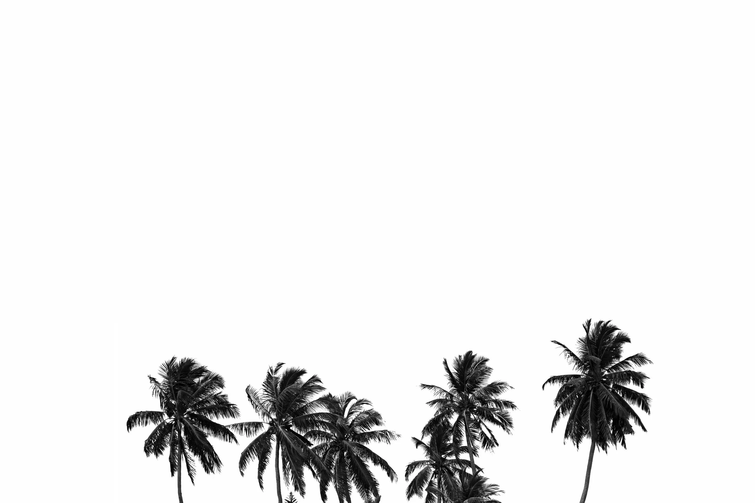 AG_MALDIVES2018_0003.jpg