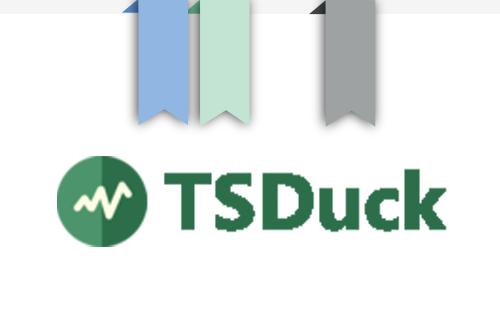 TS Duck