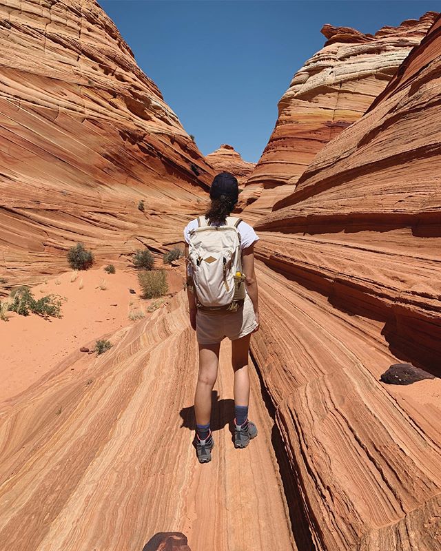 Josie Vs Coyote Buttes #hiking #utah #coyotebuttes