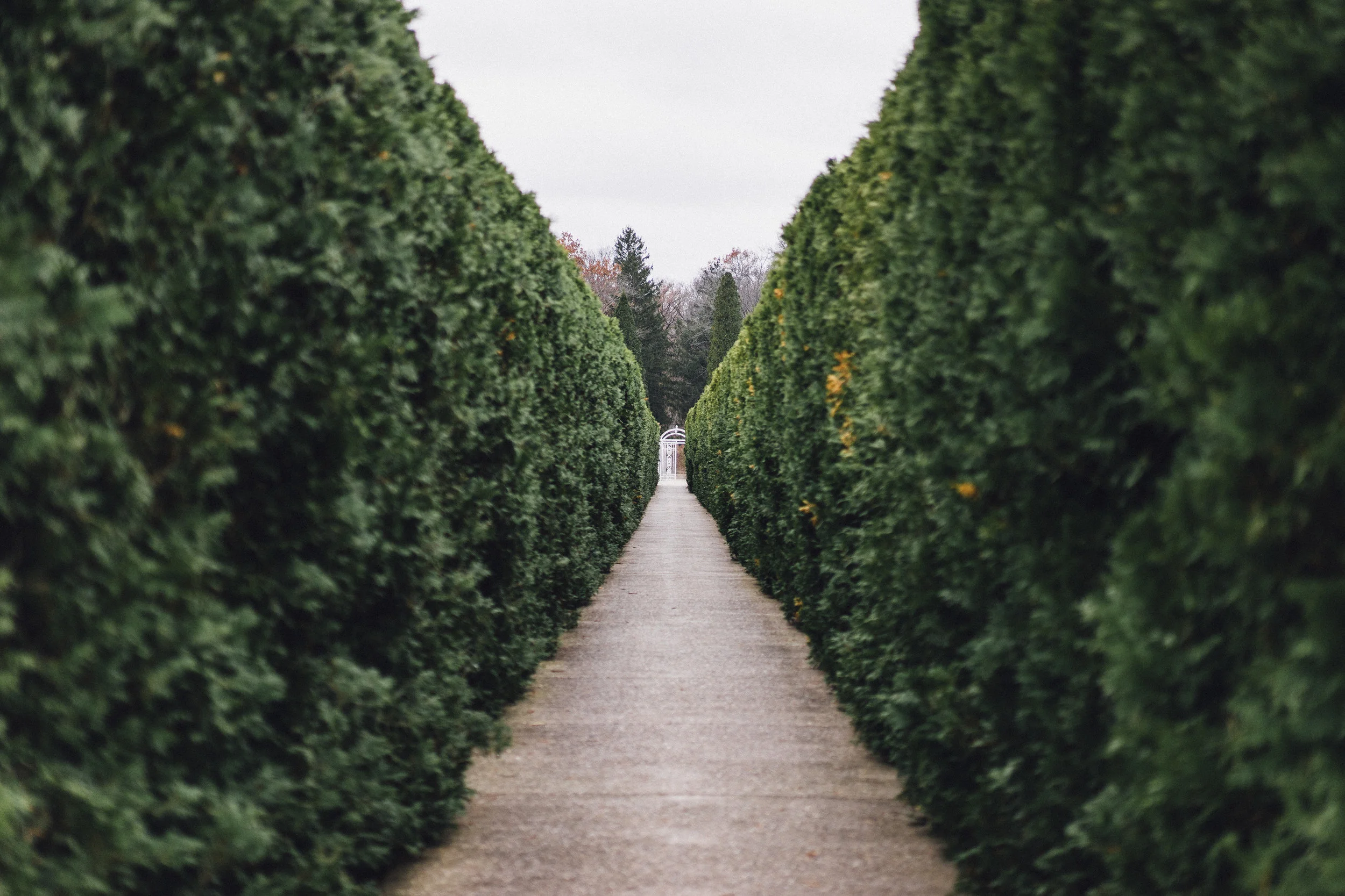 Why you'll never find a hedge fund called Bob