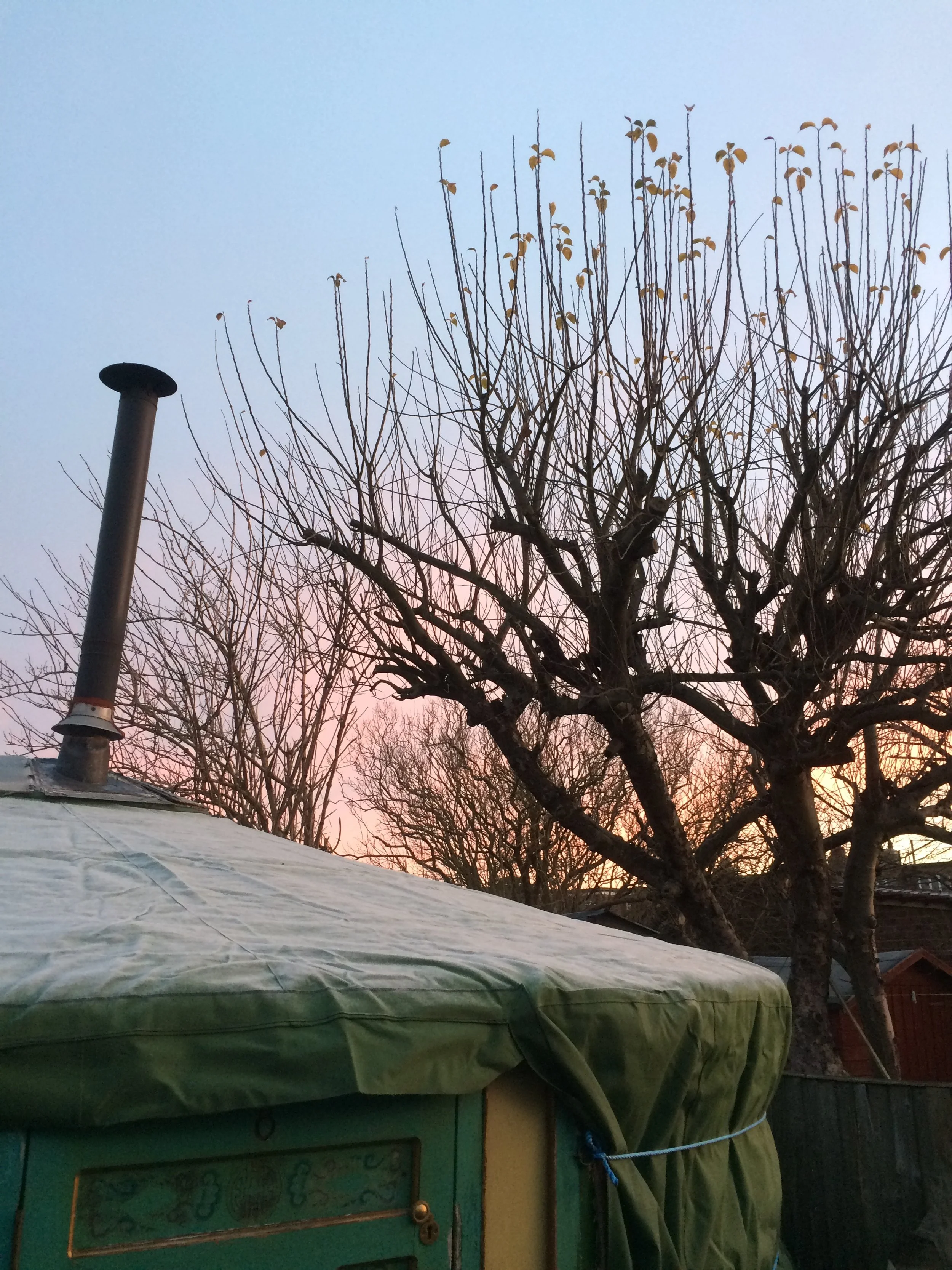 frosty morning on yurt.JPG
