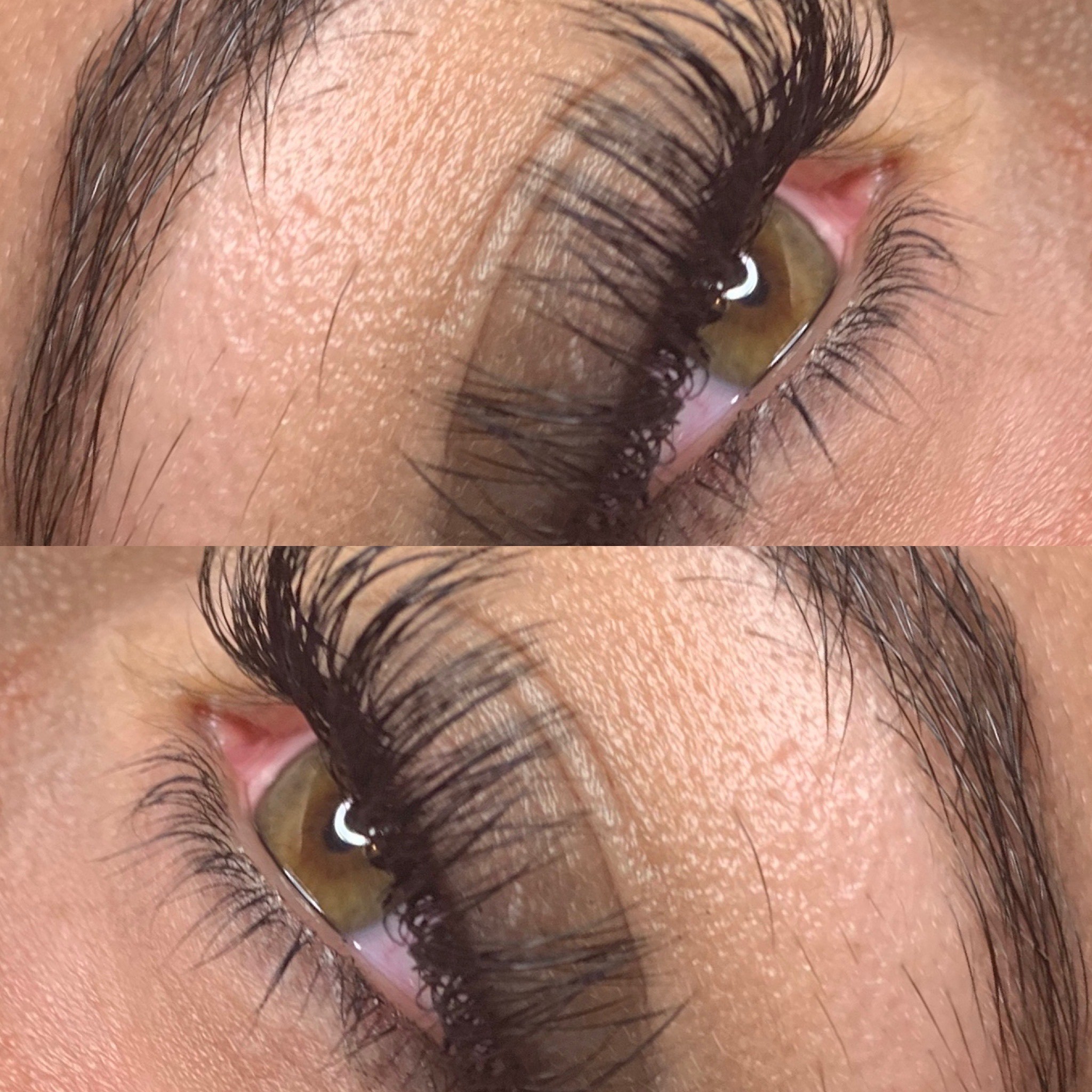lash.jpg
