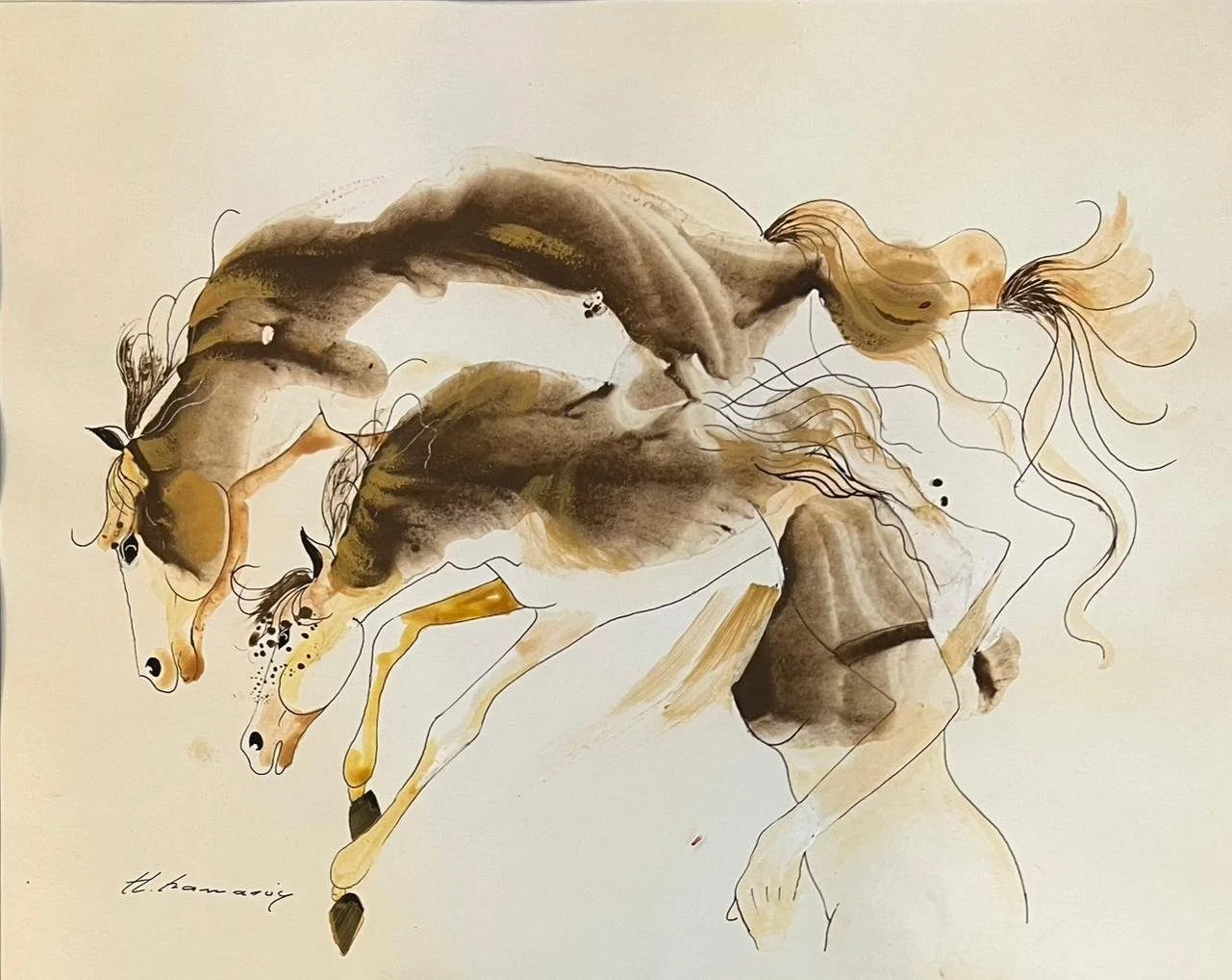  38 × 48 cm 
