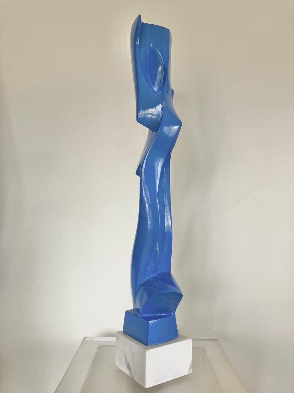 Karin Timmermans 60x13x10cm $1700.jpeg