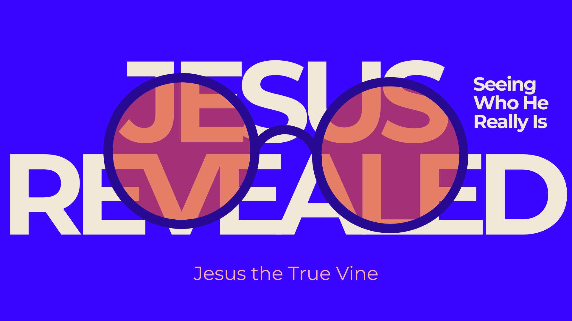 Jesus Revealed: Seeing Who He Really Is | Jesus The True Vine | Micky Drever