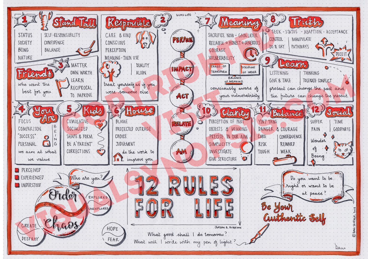 12 Rules for Life (Jordan B Peterson) Visual Synopsis by Dani Saveker —  Visual Synopsis