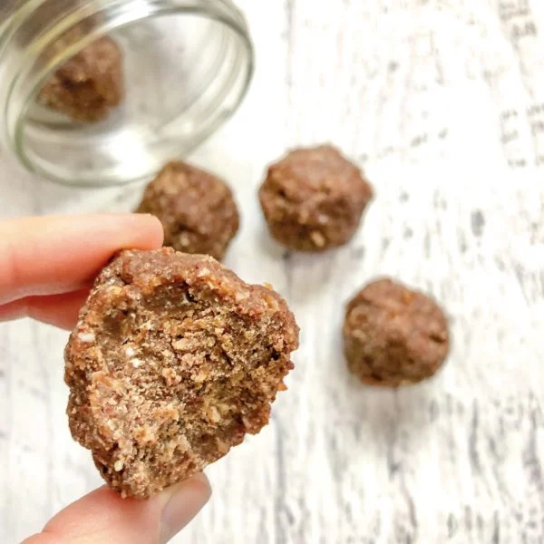 Oatmeal Cacao Chill Bites