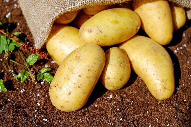 potatoes-1585075_640.jpg