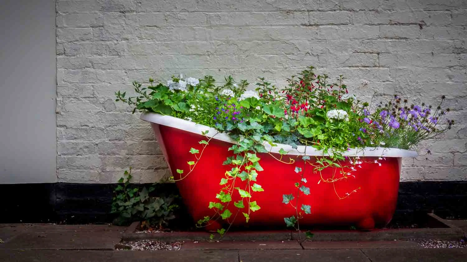 Flowers in the Bath.jpg