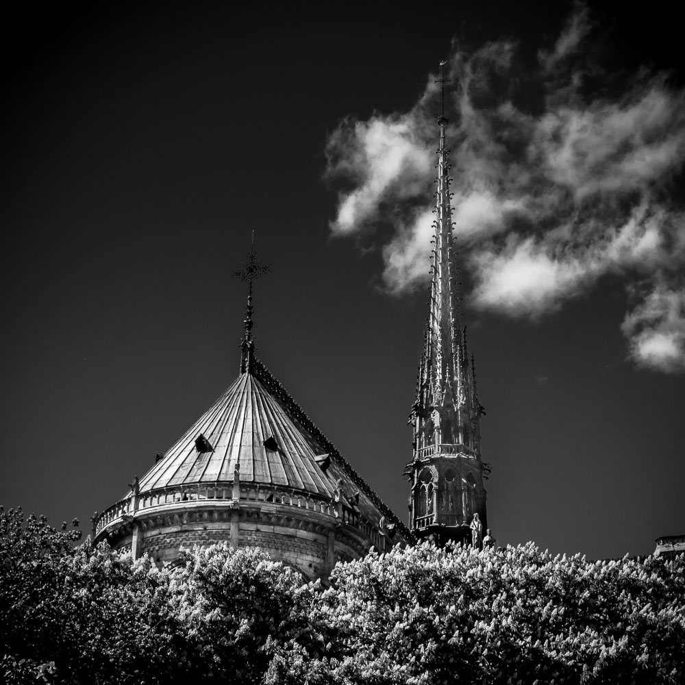 Notre Dame de Paris.jpg