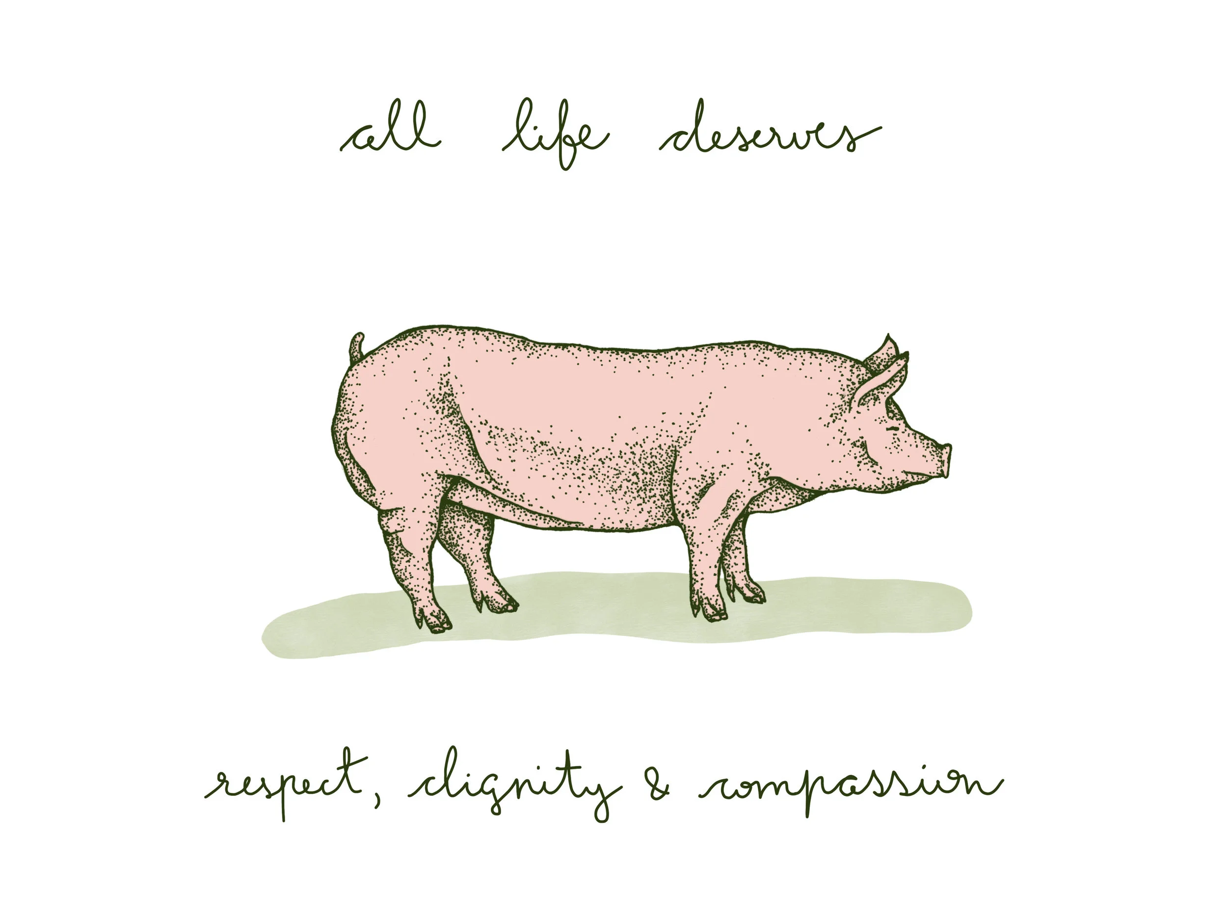 drawings4.jpg