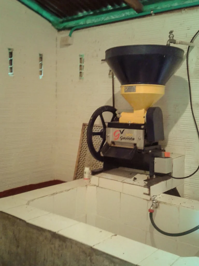 Machine à dépulper
