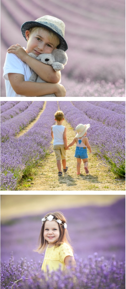 The Lavender mini sessions