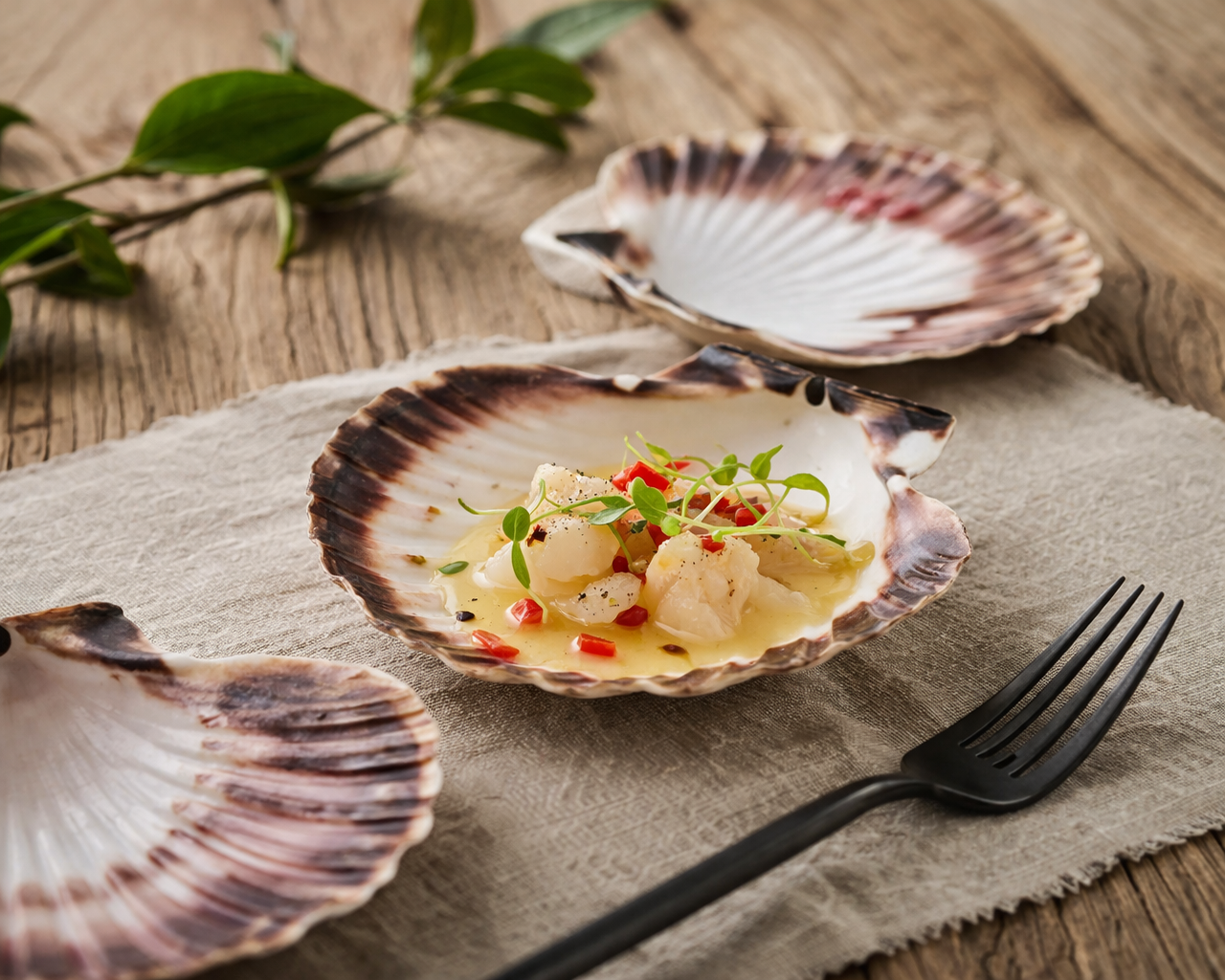 Kamskjellskall – perfekt til småretter og borddekking